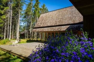 Фото номера Вилла с собственным бассейном Виллы Villa Hausma г. Hiiumaa 101